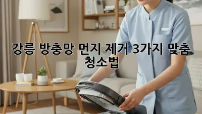 강릉🏡 방충망 먼지 제거🧹✨: 3가지 맞춤 청소법!